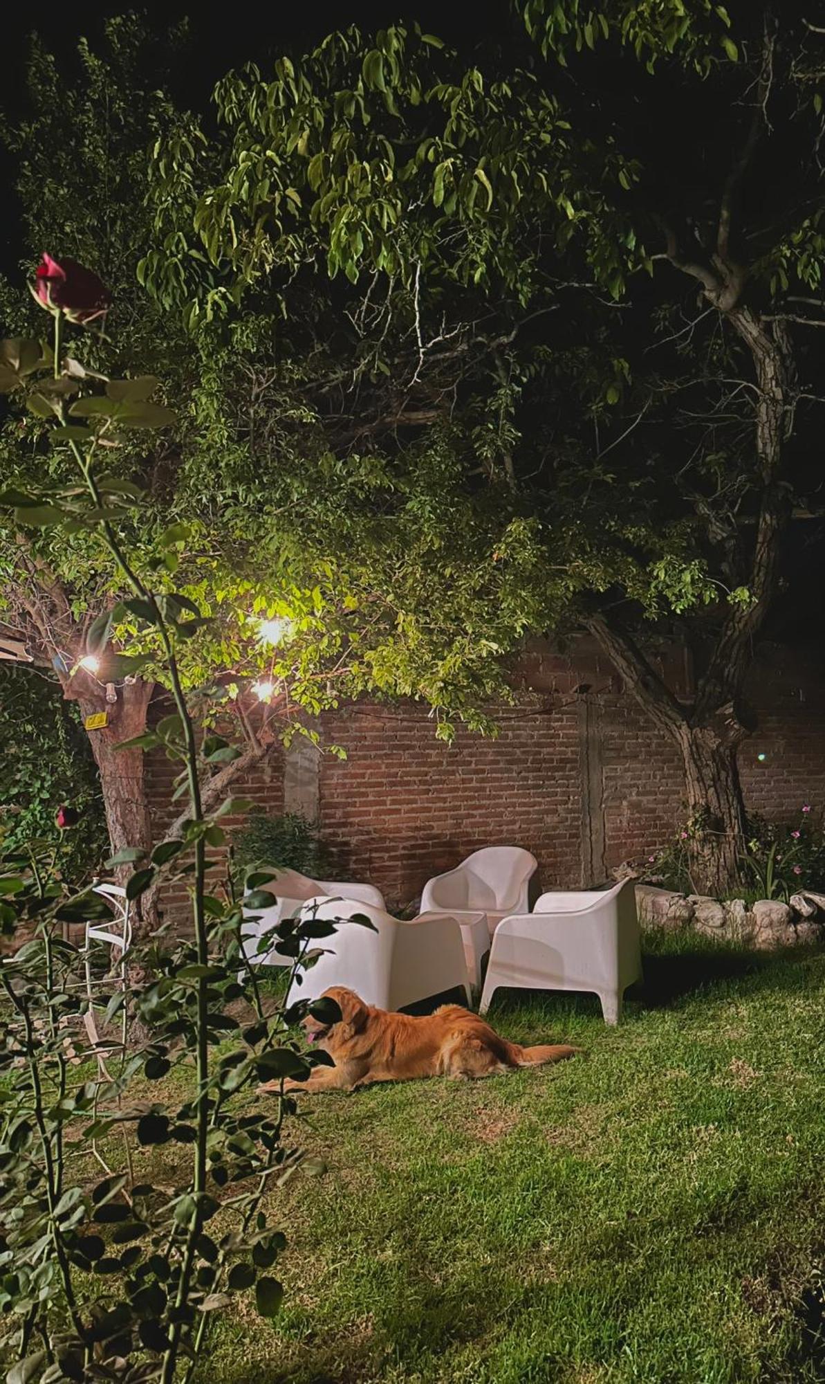 Casa Los Nogales Villa Cafayate Esterno foto